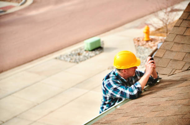Best Roof Gutter Cleaning  in Hamburg, AR