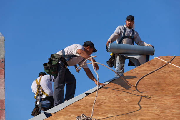 Professional Roofing Contractor in Hamburg, AR