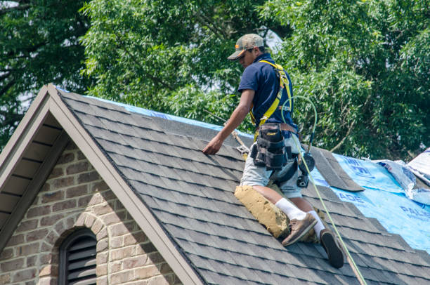 Best Metal Roofing Contractor  in Hamburg, AR