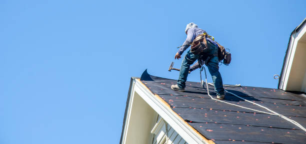 Best Commercial Roofing Services  in Hamburg, AR